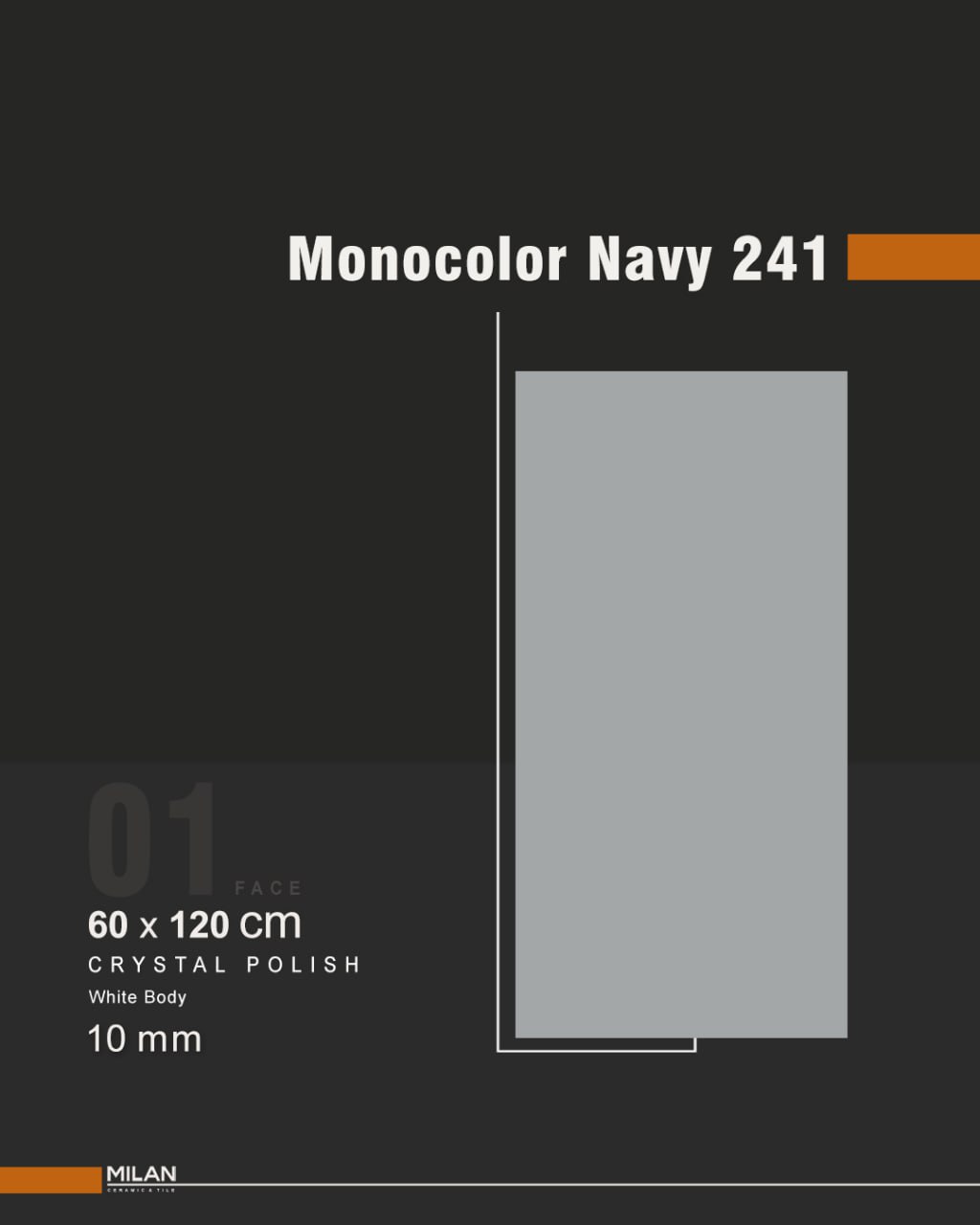 مونوکالر Navy 241